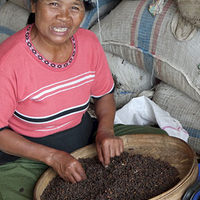 Photo de Bali - Autour de Munduk